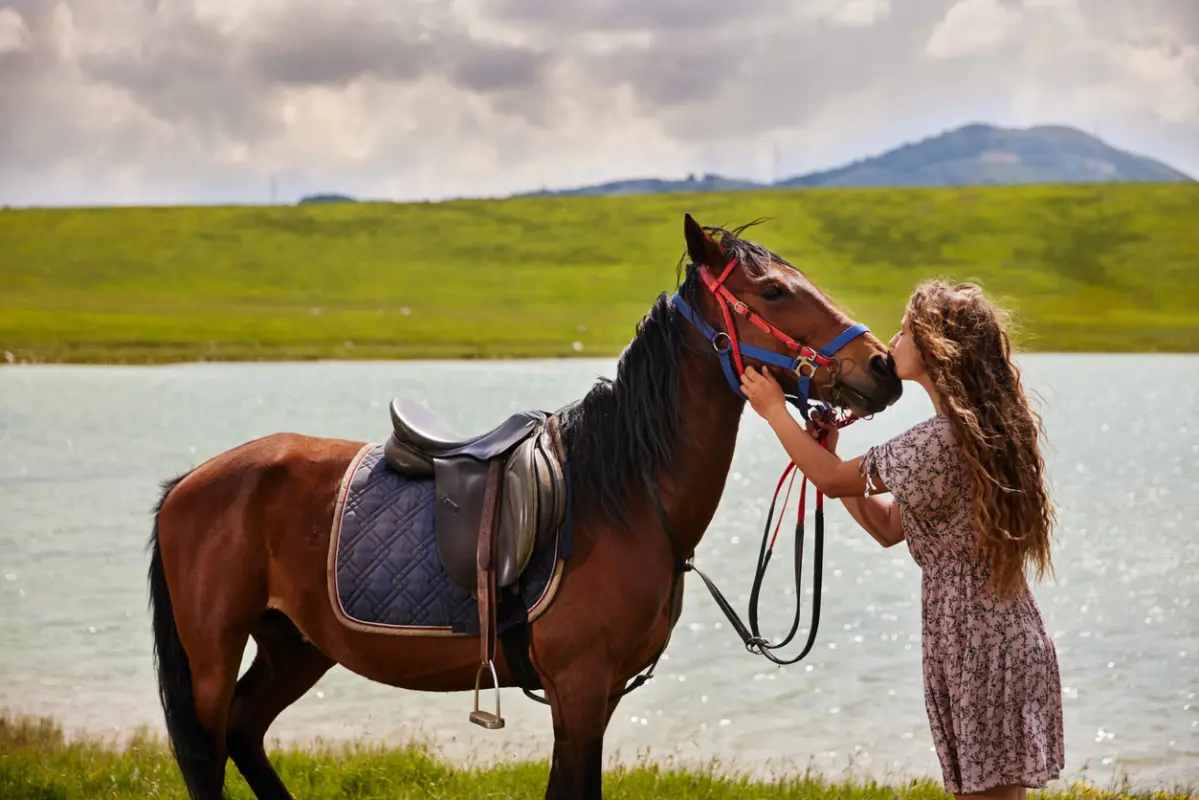 רכיבה על סוסים