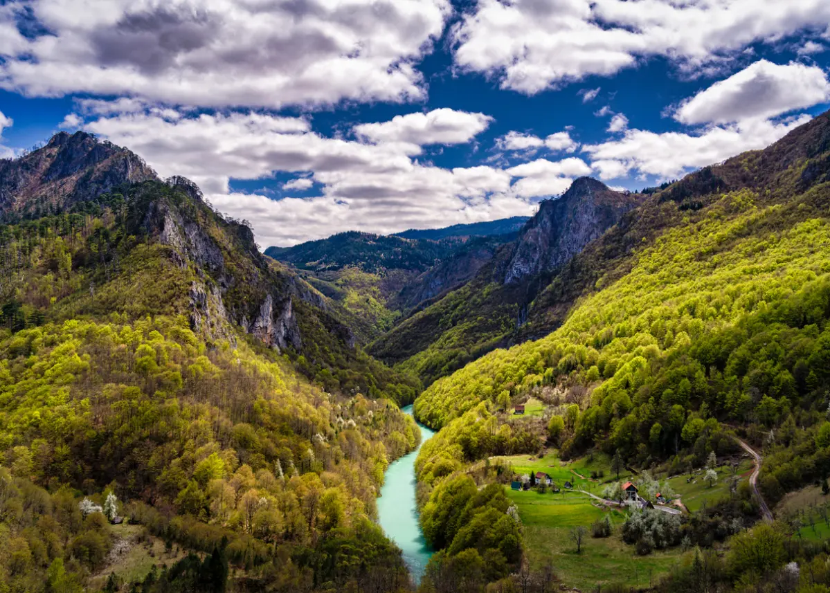 Kaňon Tara