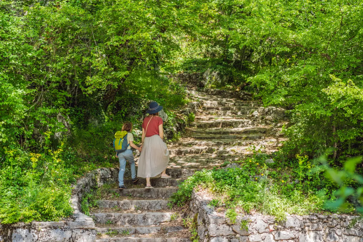 הליכת עלייה לרגל