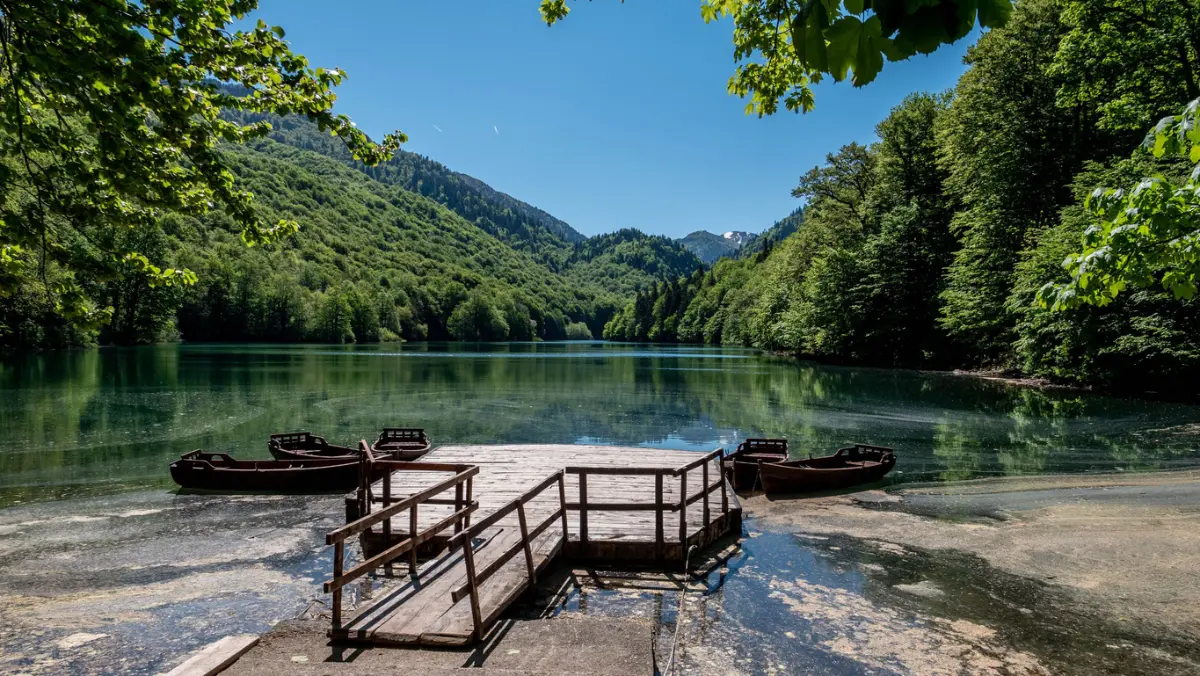 יער Biogradska הבתולי