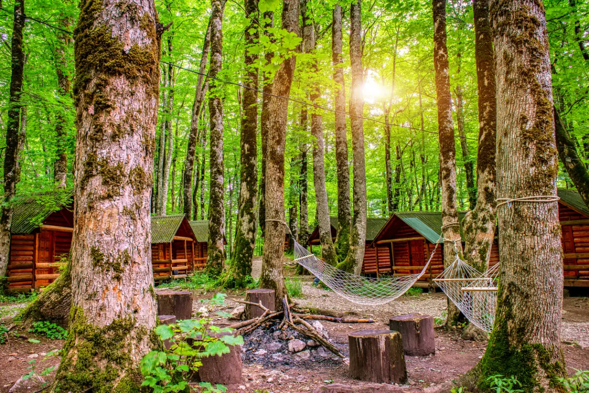 שמורת יער הבראשית Biogradska gora