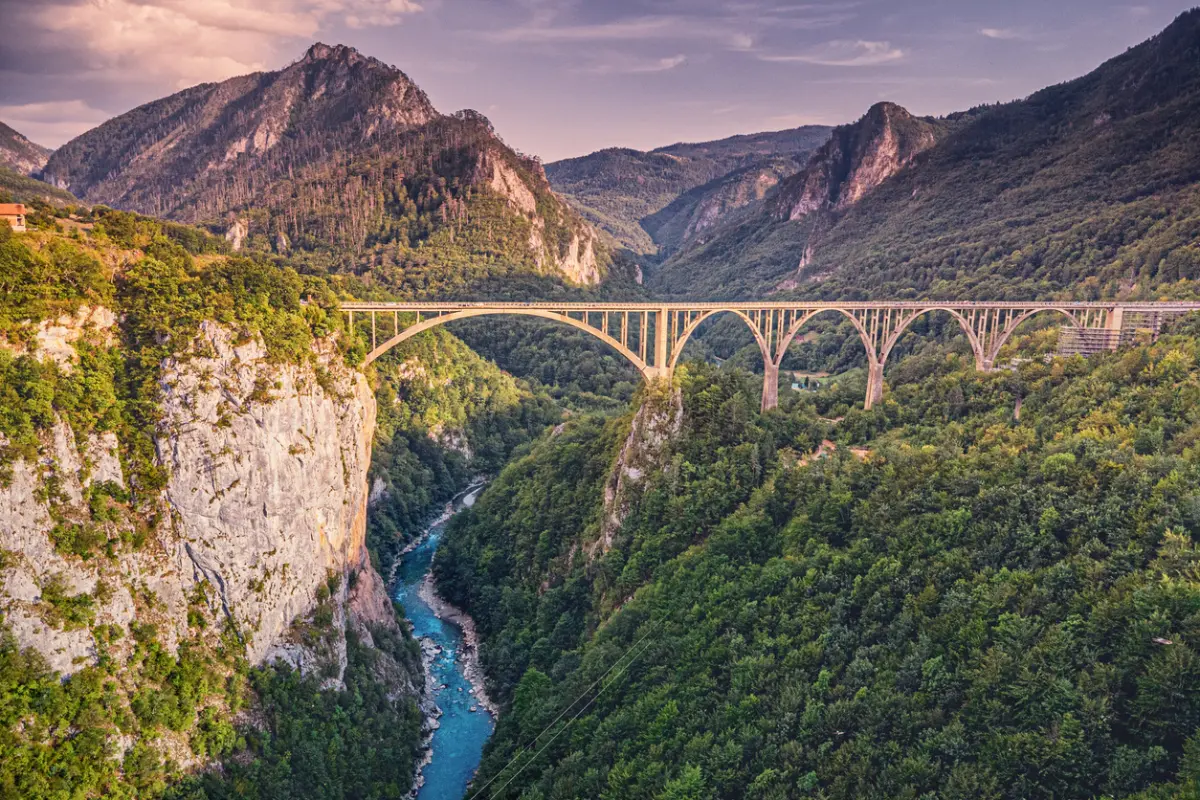 קניון נהר Tara