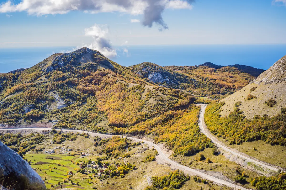 צפייה בציפורים