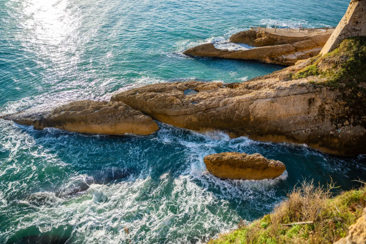 שחייה וספורט מים