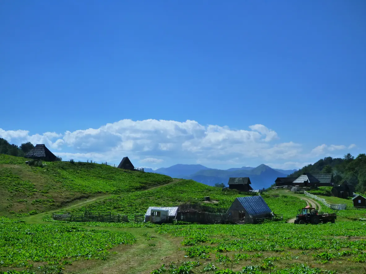 קאטוני ההרים ב-Bjelasica