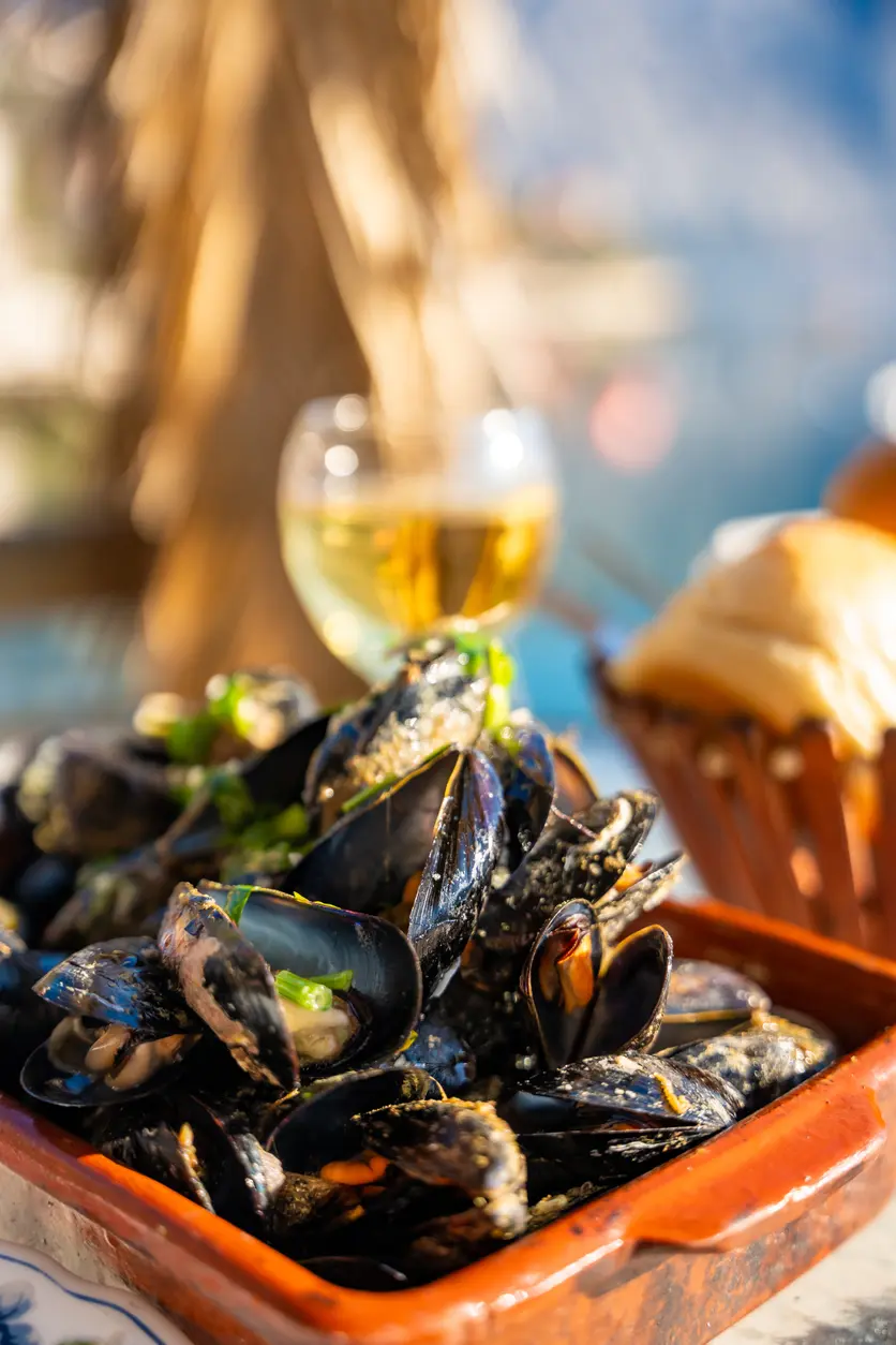 טעימת צדפות