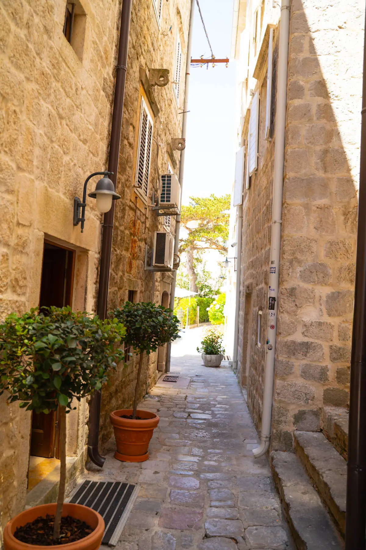 טיול לאורך החוף