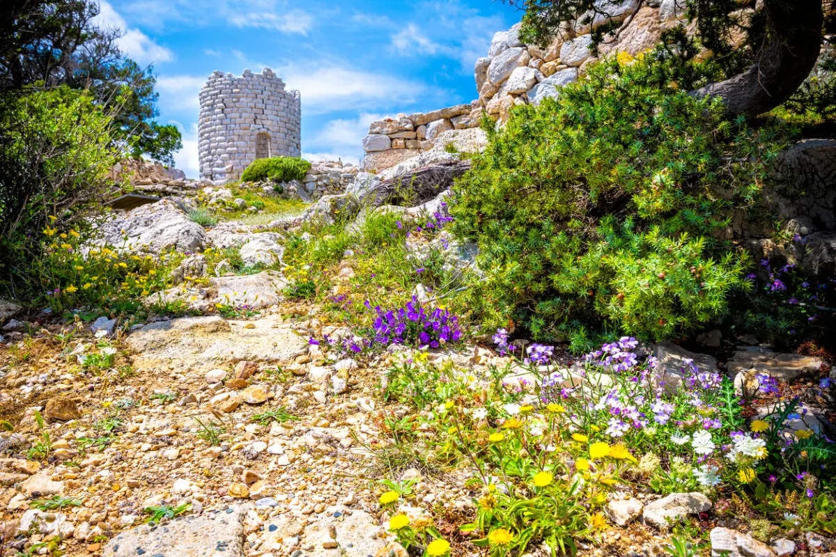 Mediteranska tvrđavska flora