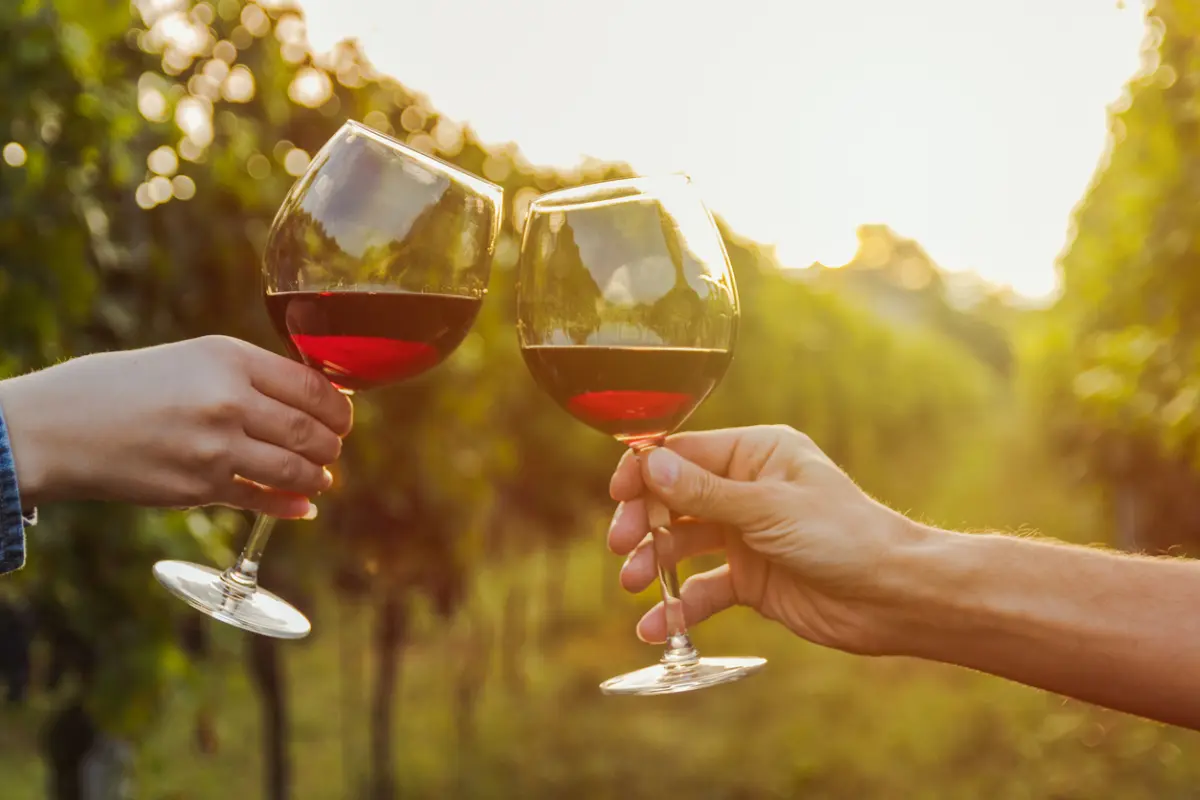 Wine Tasting