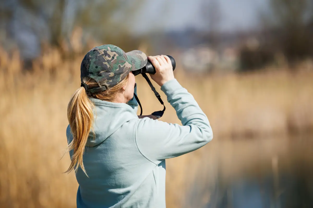 Birdwatching
