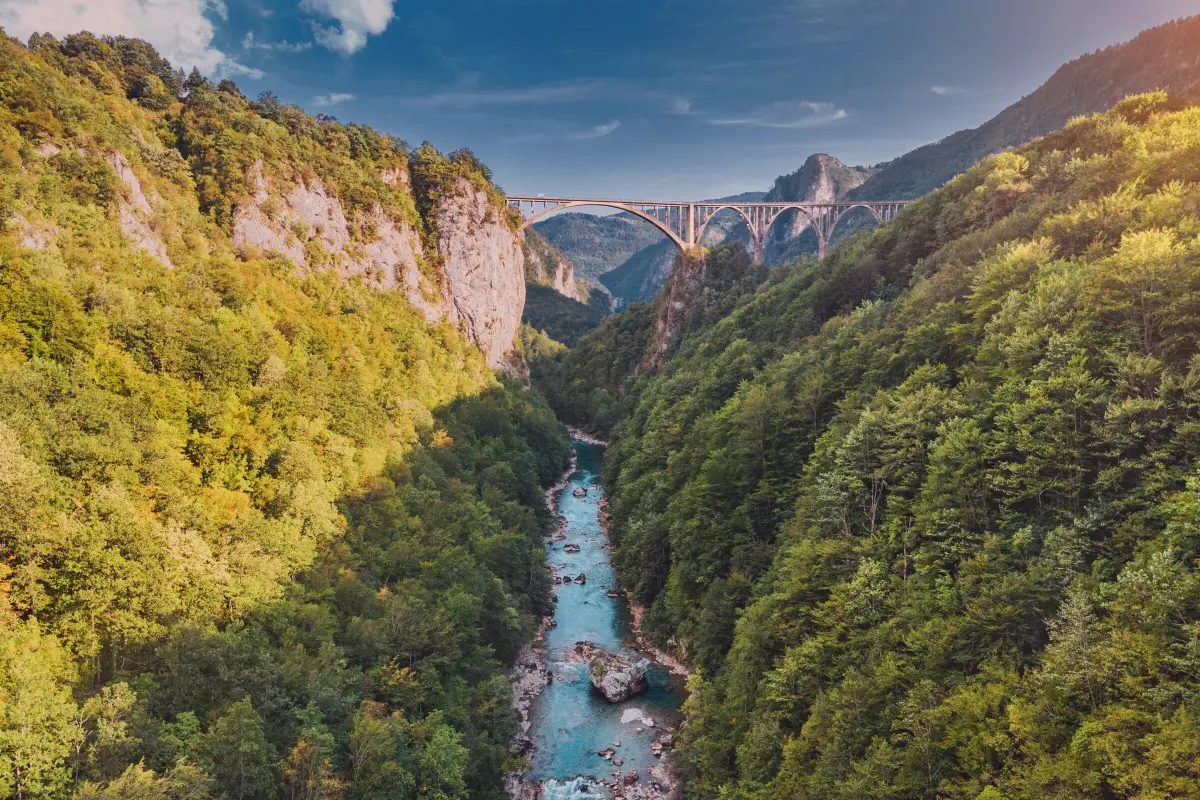 Kameni most na Tari