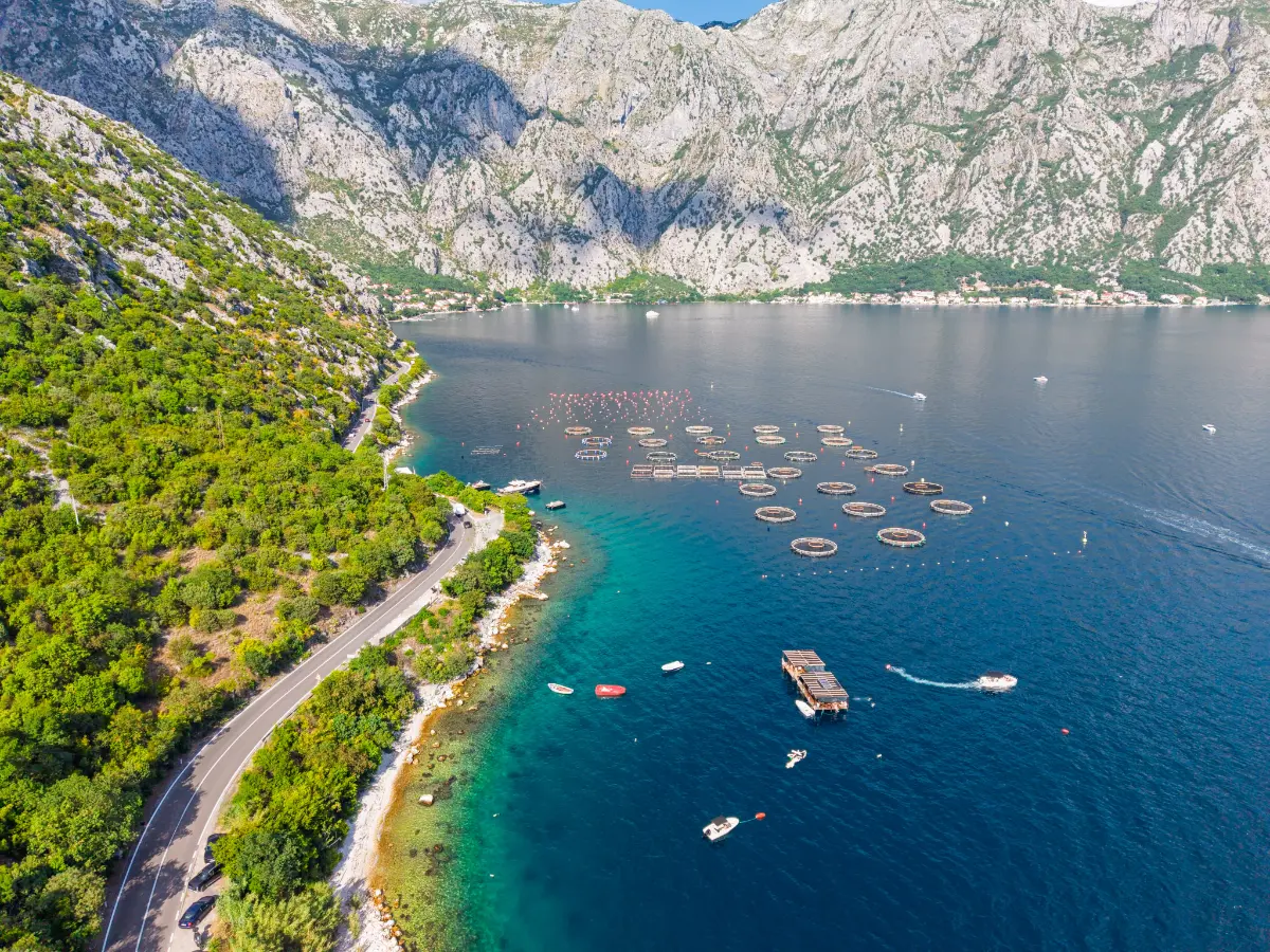 Вид на Kotor та Lovćen