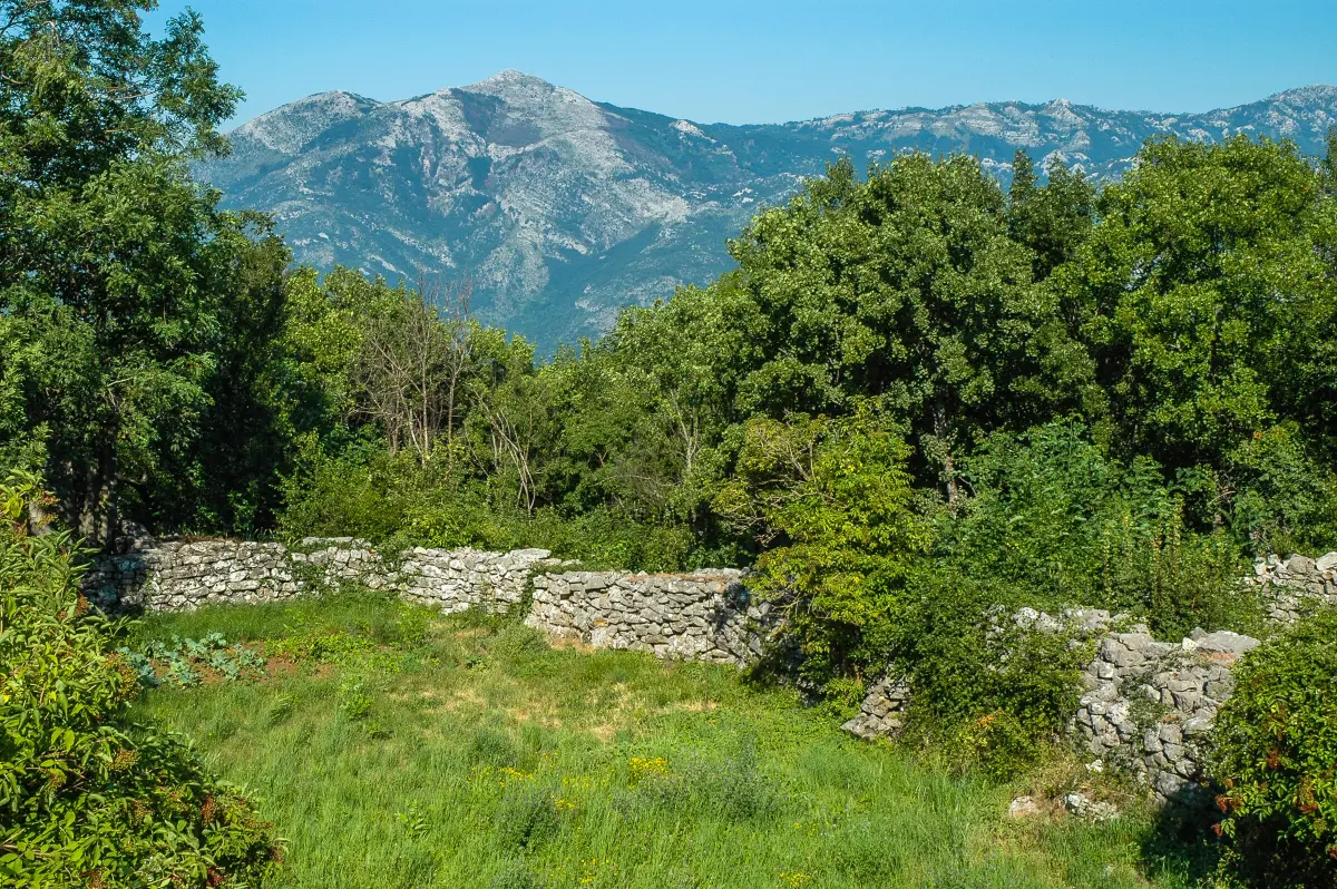 Planinski masiv Mokre Gore