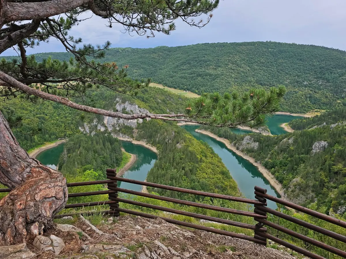 Meanders of the Ćehotina River