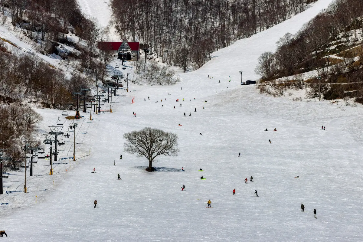 Esquí y snowboard