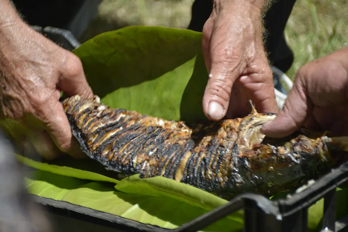 Smoked carp
