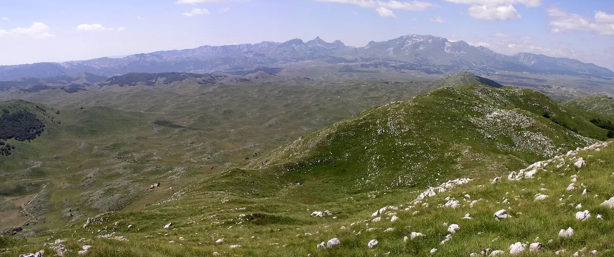 Katun Potrk, Sinjajevina