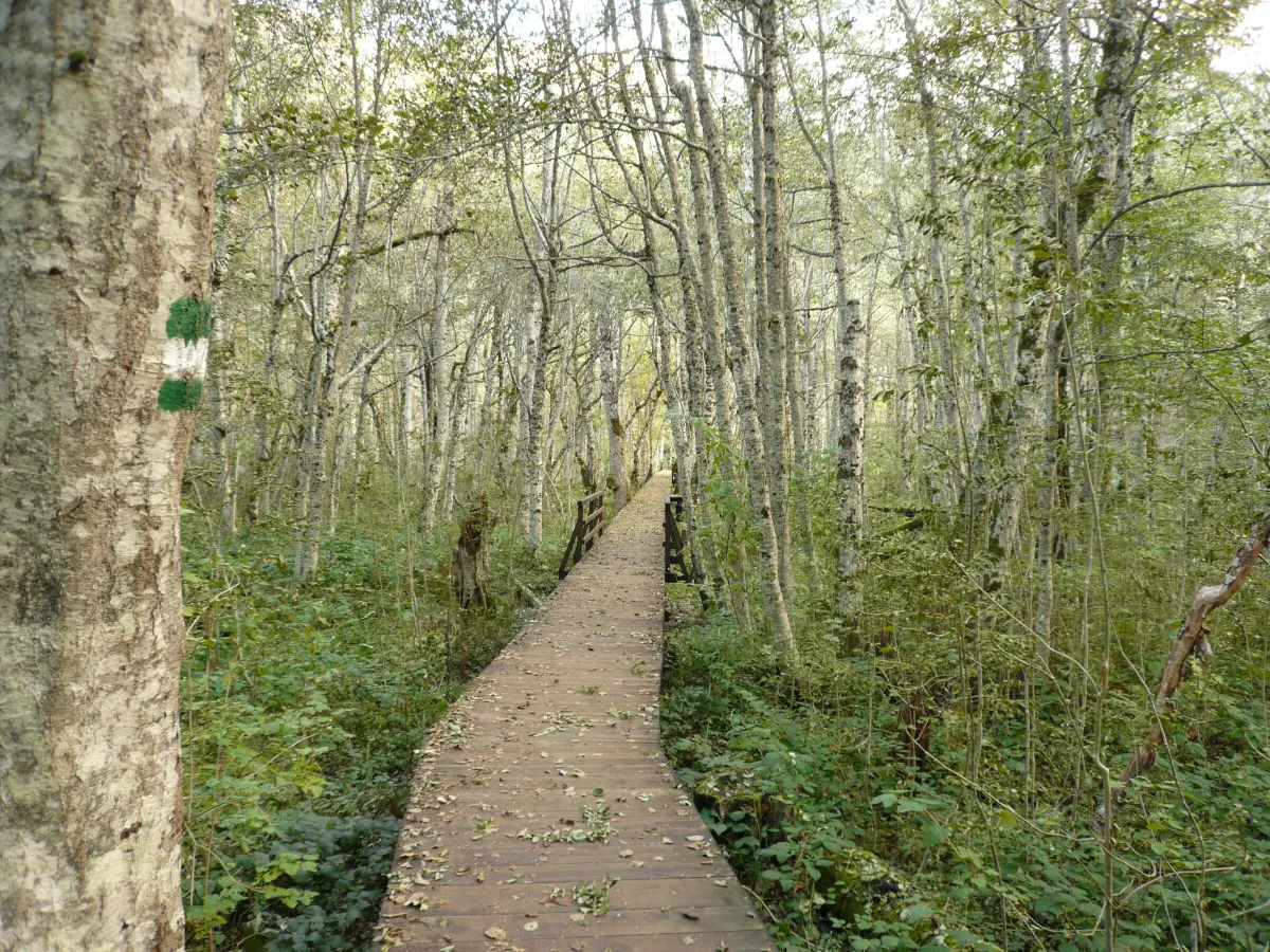 Boje na planini, more još toplo