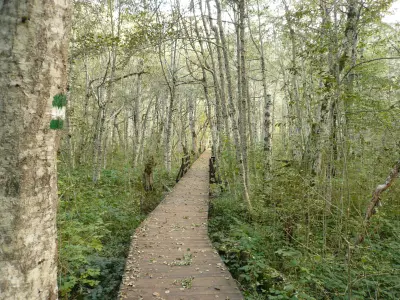 BiogradskoJezeroSteg