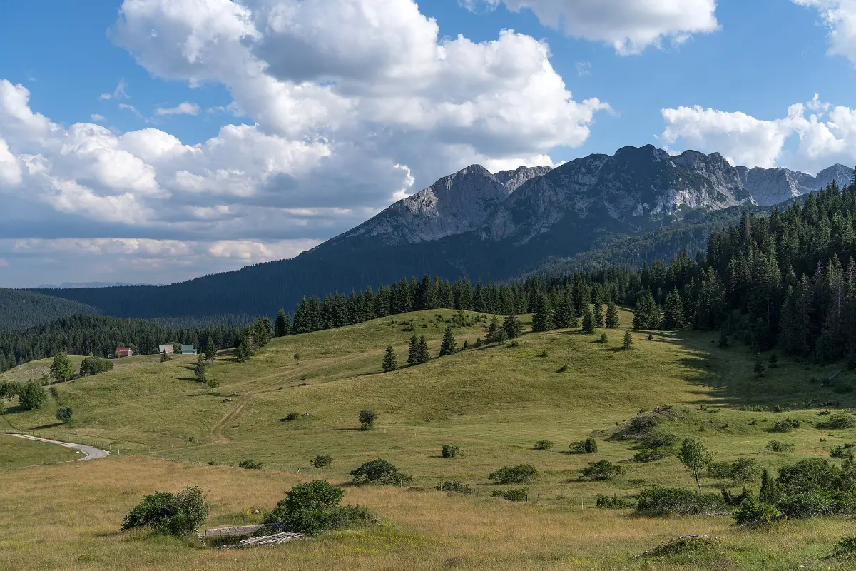 Durmitor Healthy Food Days