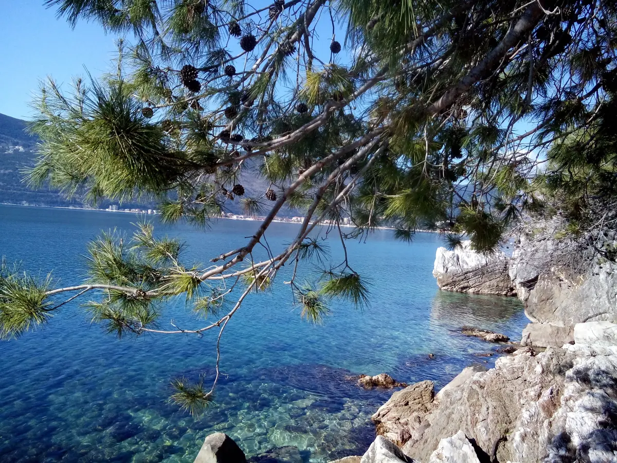 Herceg Novi