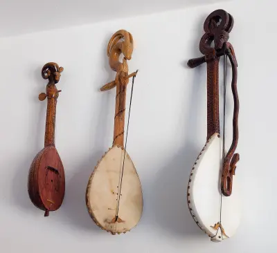 Gusle from Montenegro and Serbia