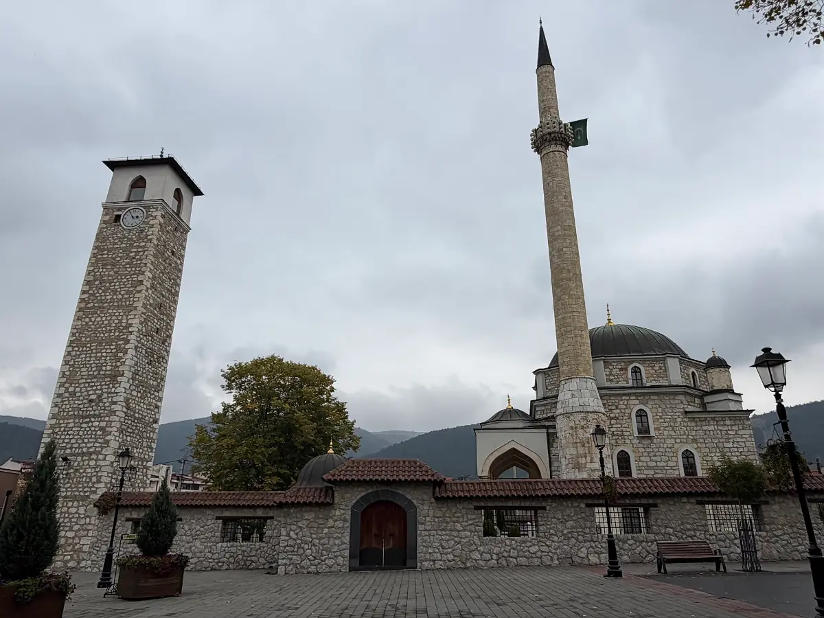 Дни плевальского сыра