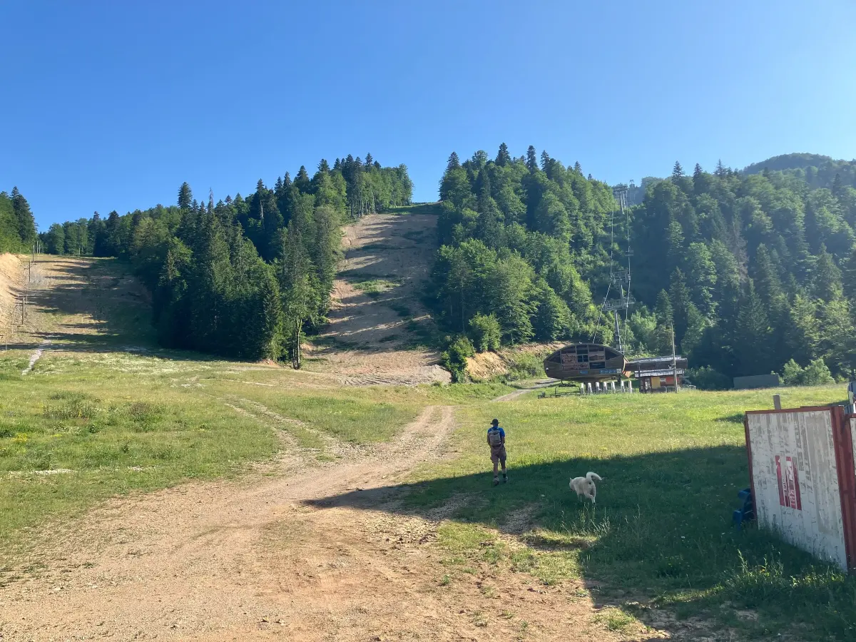 Skiing