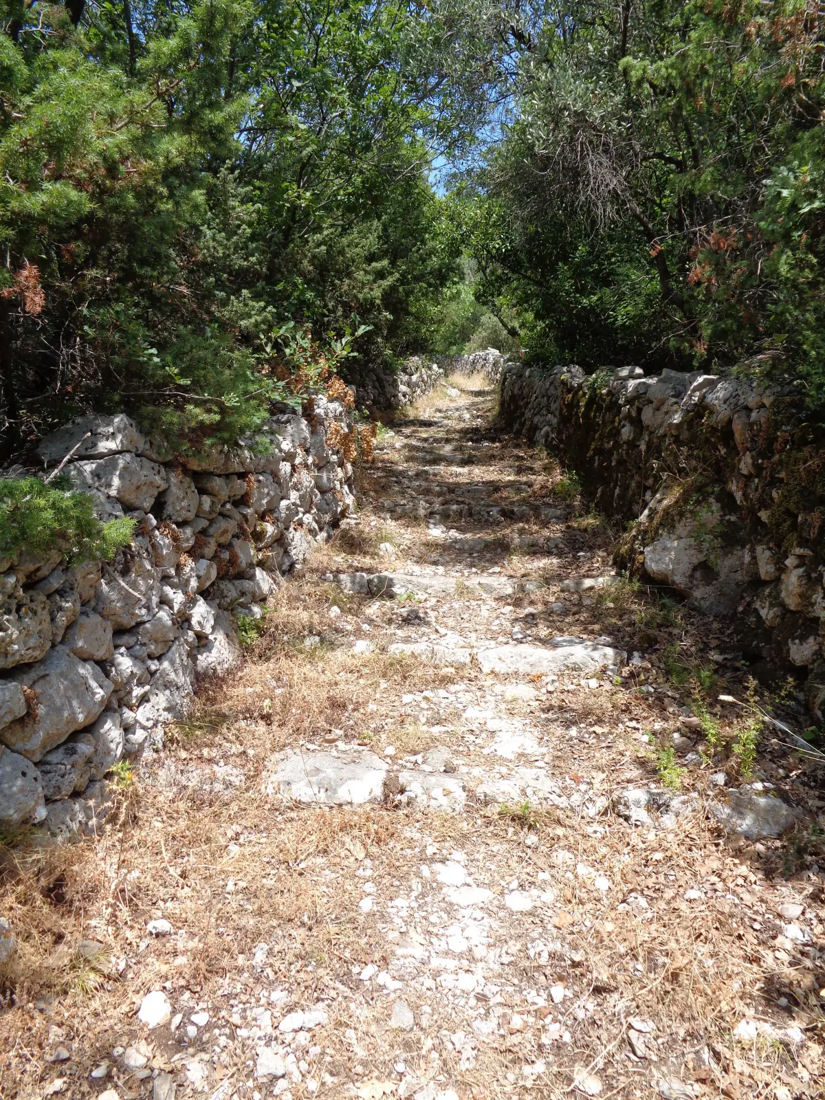 Luštica: Trockenmauern und Dreschplätze