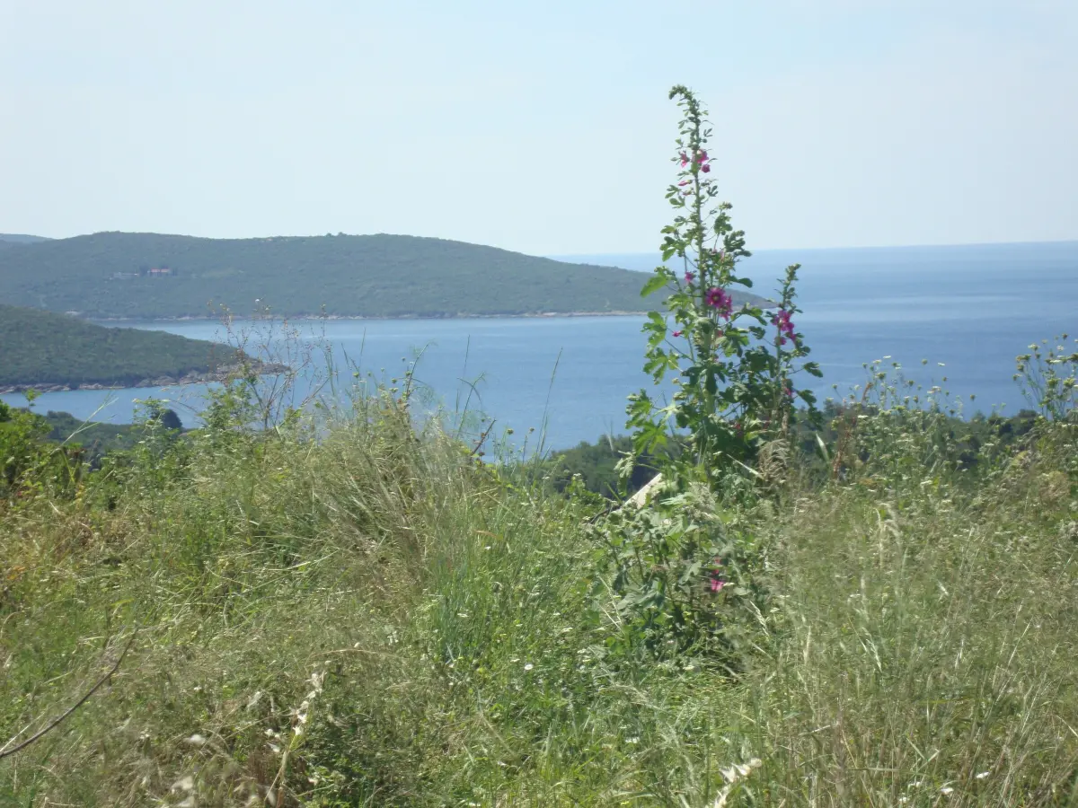 Luštica Bay