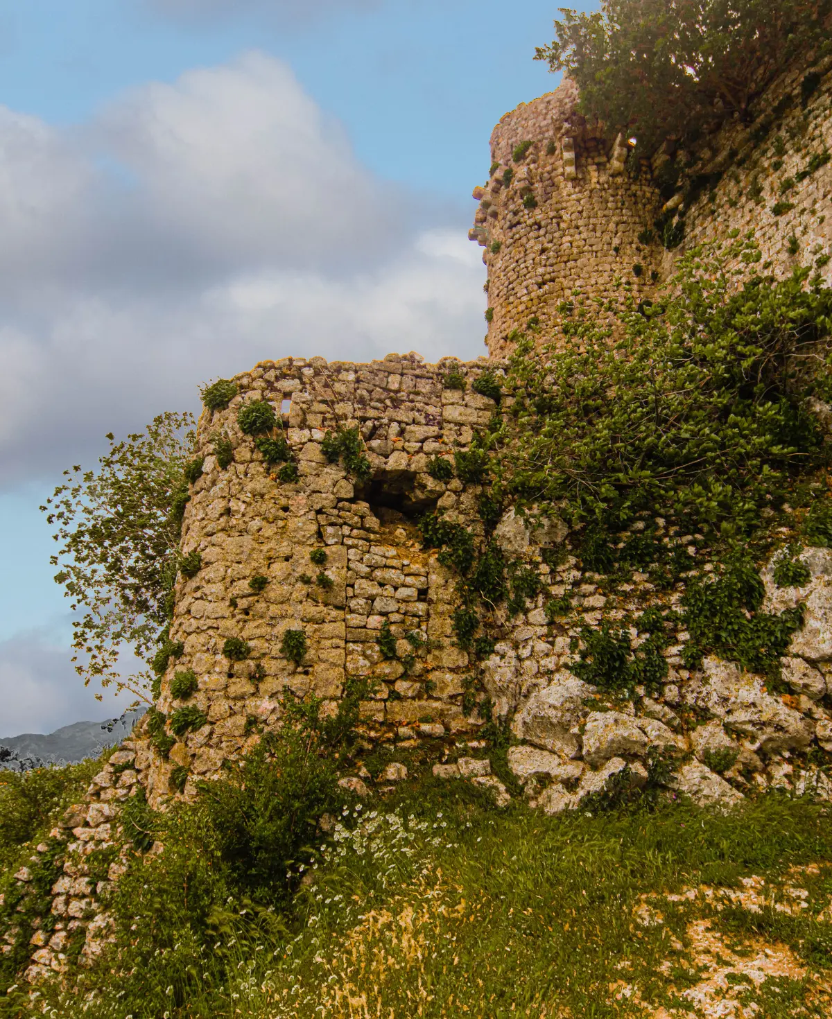Pevnost Žabljak Crnojevića