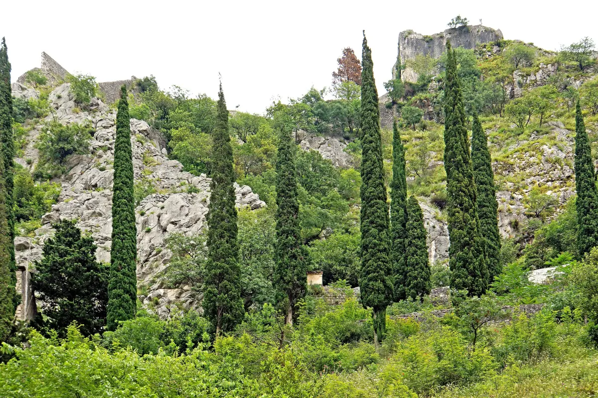 Pogled prema Lovćenu: granica