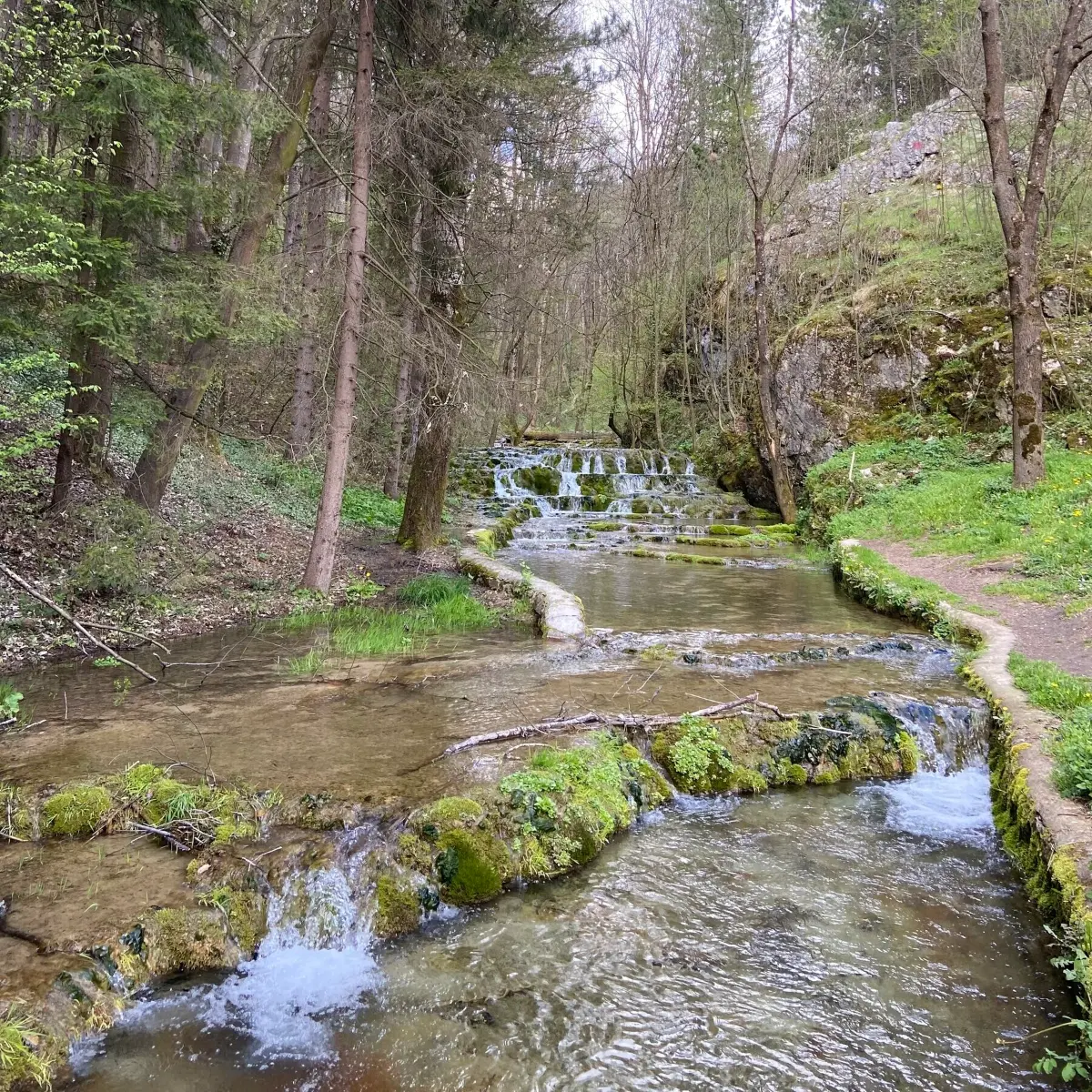 Balık Tutma