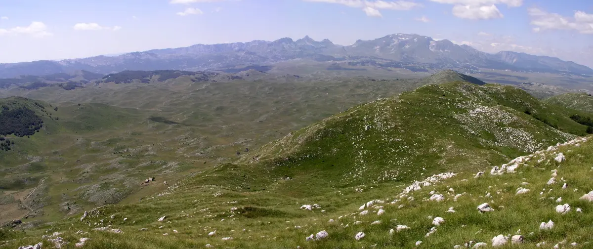 Sinjajevina