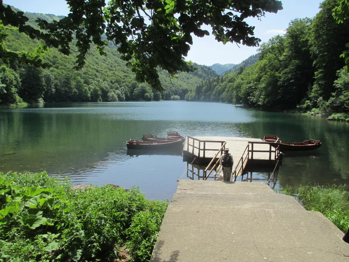 Biogradska gora