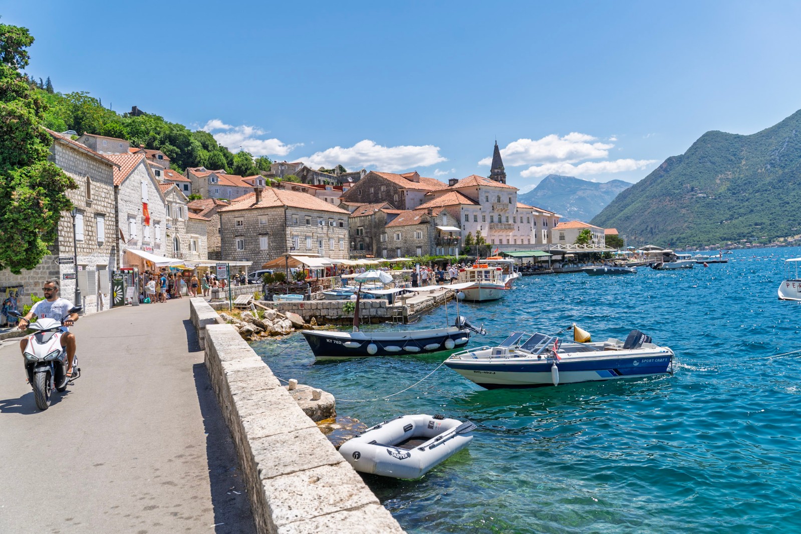 Endemske vrste - prirodno nasleđe Crne Gore