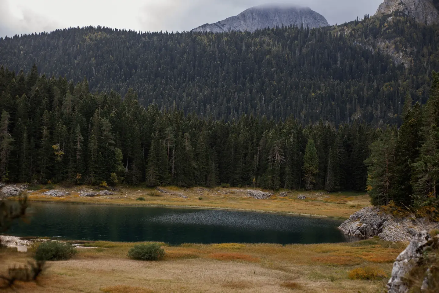 Sušičko jezero