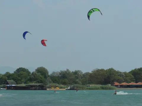 Borova šuma Ulcinj