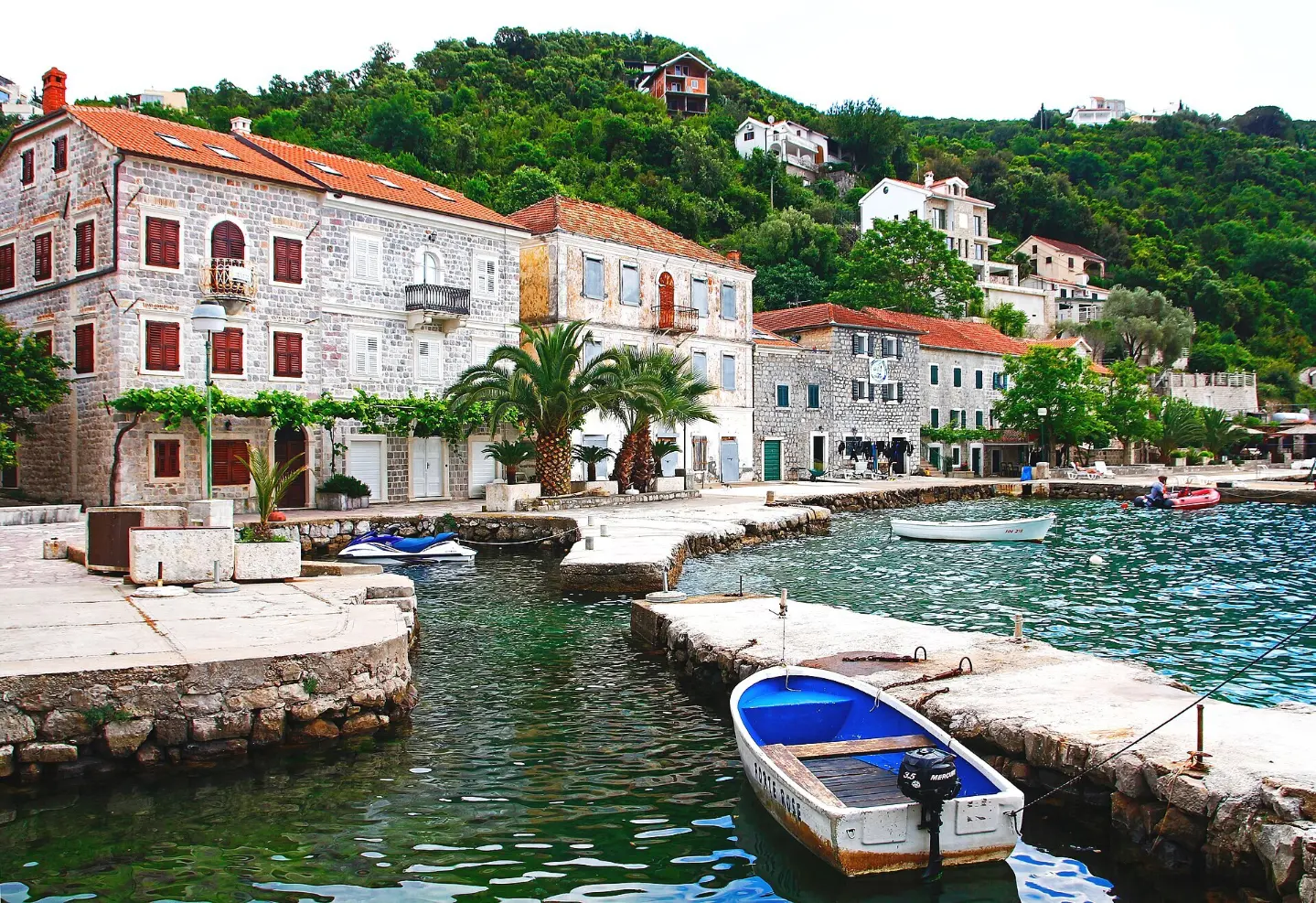 Rose, Luštica