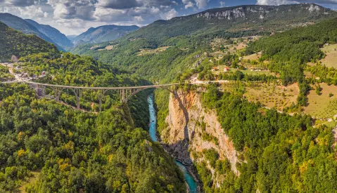 Mojkovac