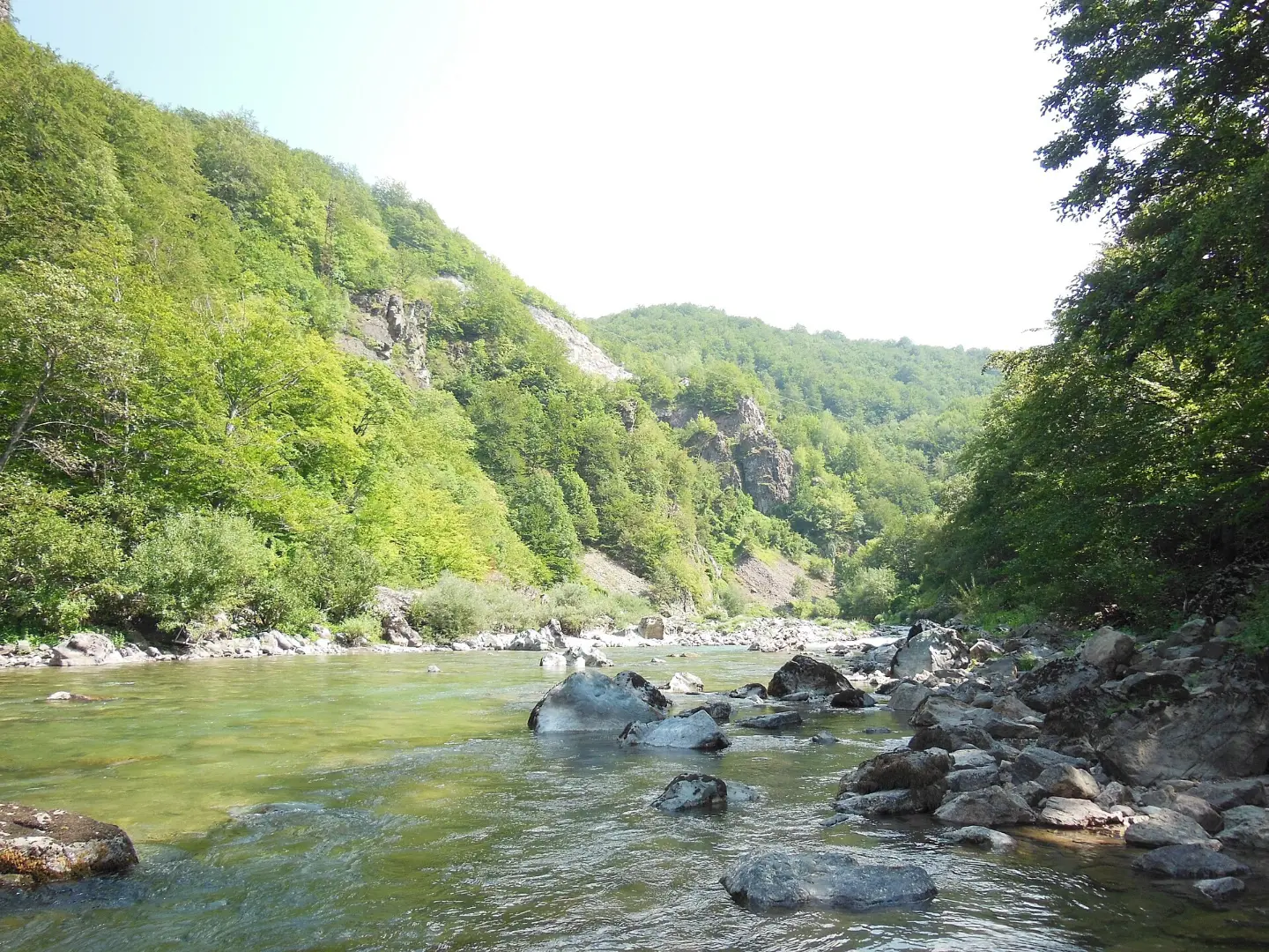 Каньон реки Тара