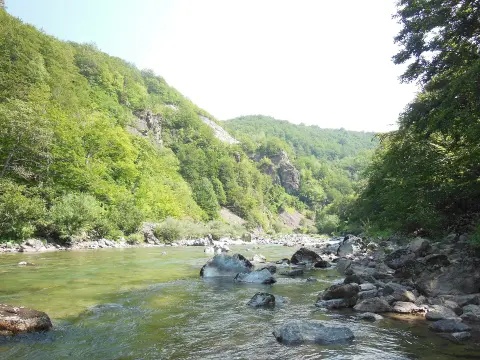 Reka Tara, 2013-08-18 - panoramio