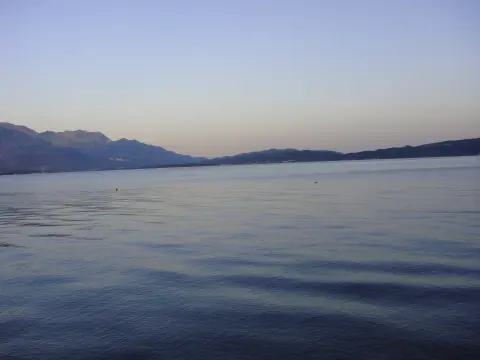 Bijela