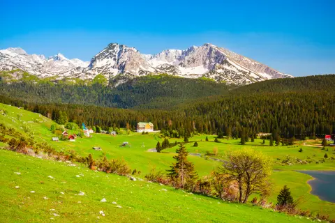 Žabljak