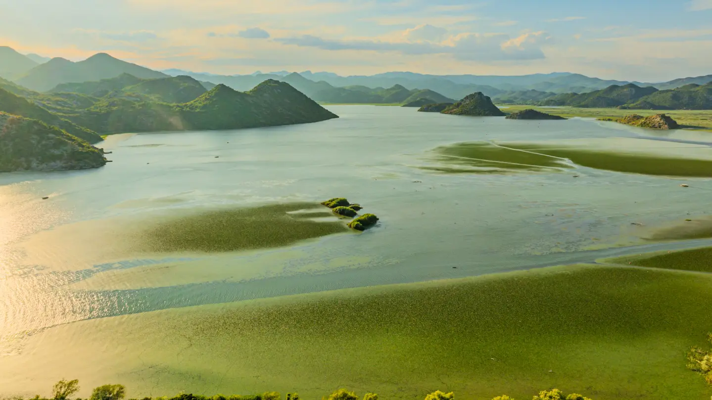 Lago Skadar