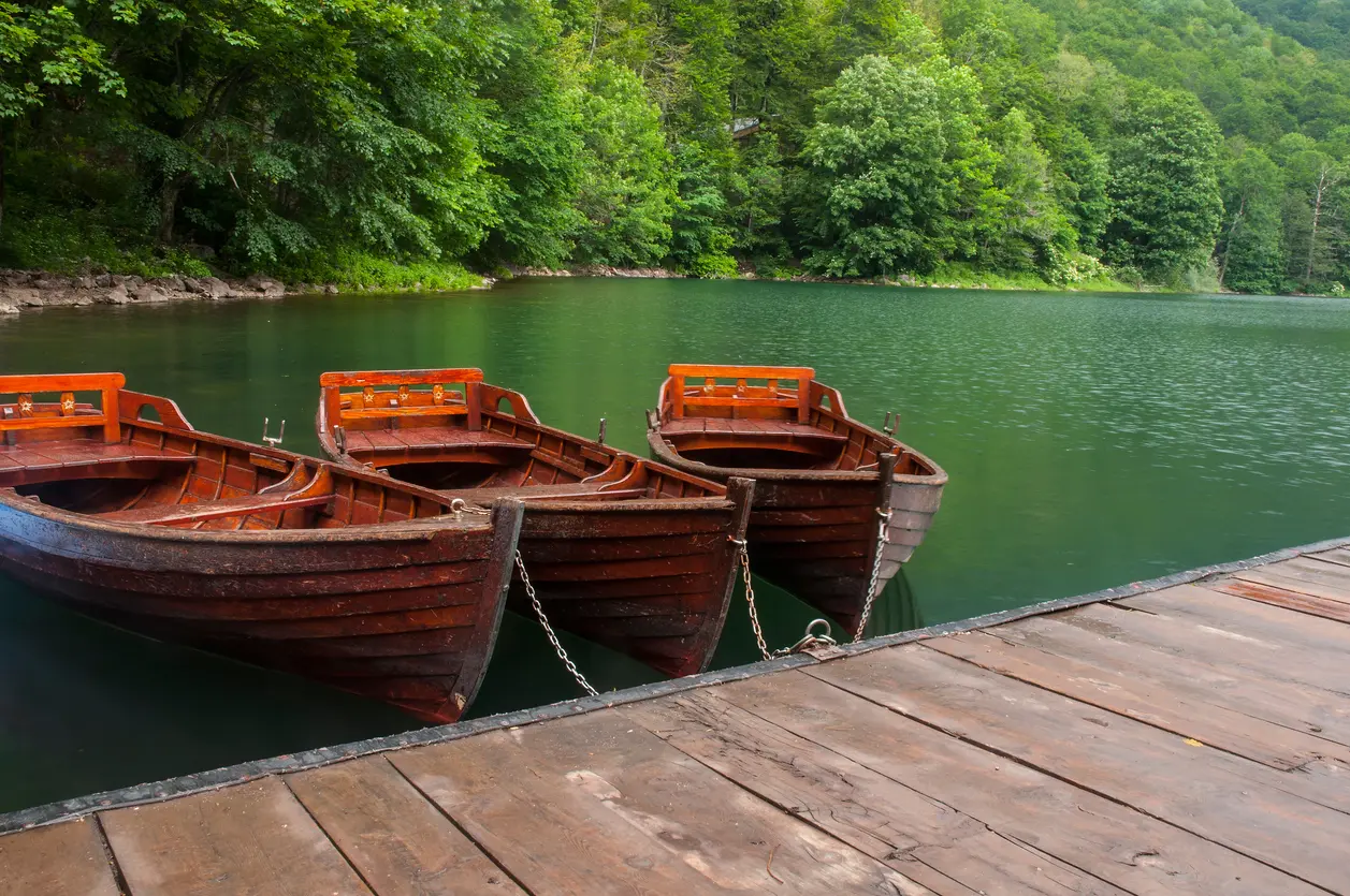 פארק לאומי Biogradska gora