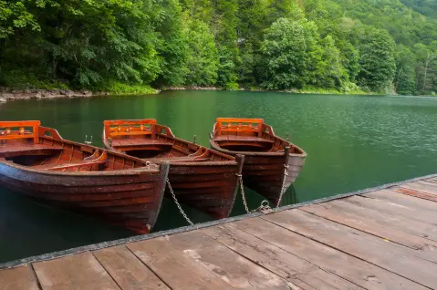 פארק לאומי Biogradska gora