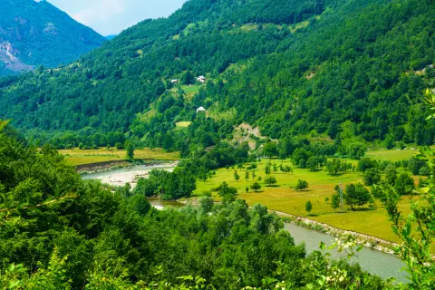 Andrijevica