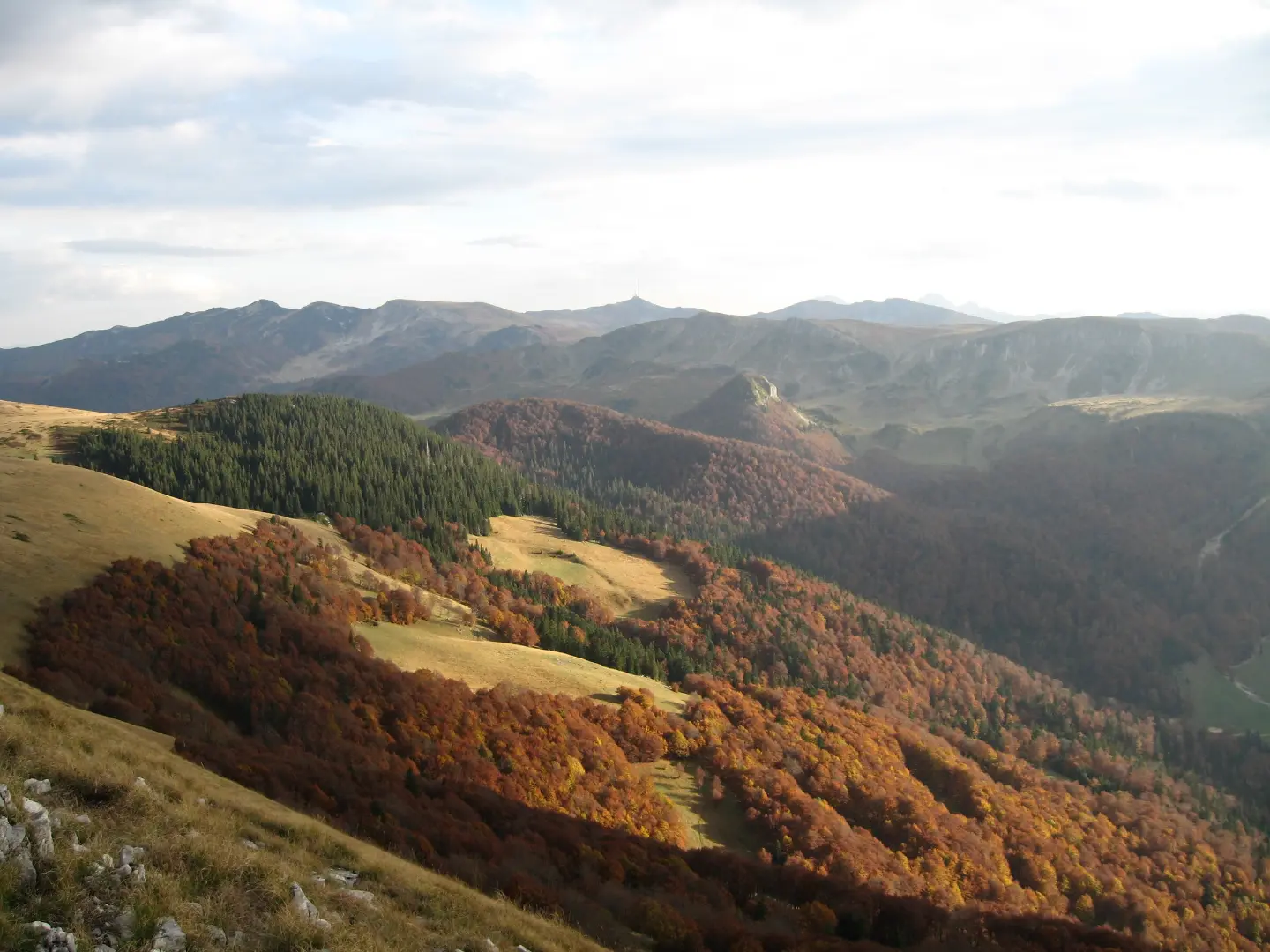 Bjelasica