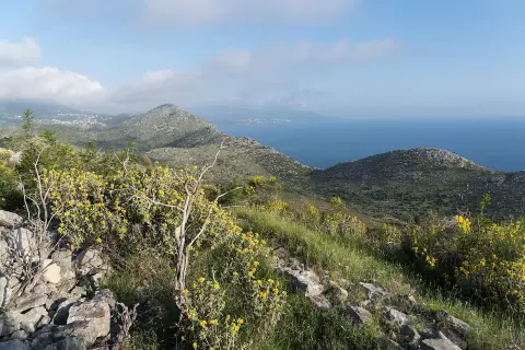 2025-05-07 Volujica, Bar Municipality 1